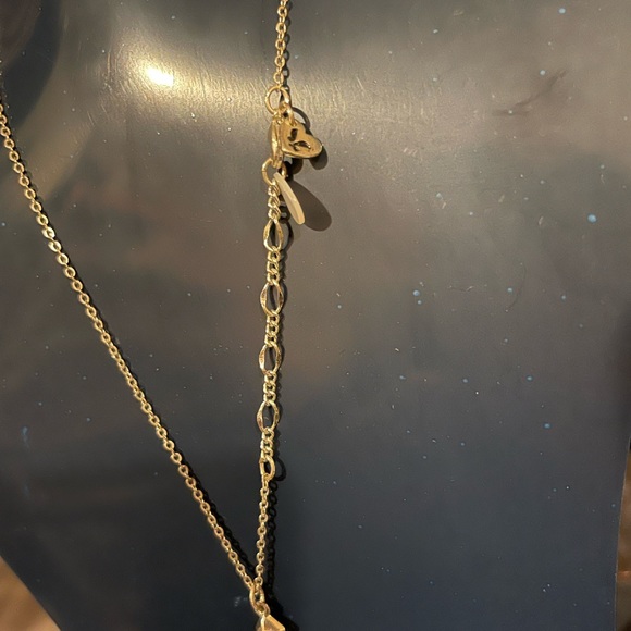 American Eagle Outfitters 2 Disk Necklace by AEO 16” Adj, MOP & Unknown Disk - Picture 3 of 3